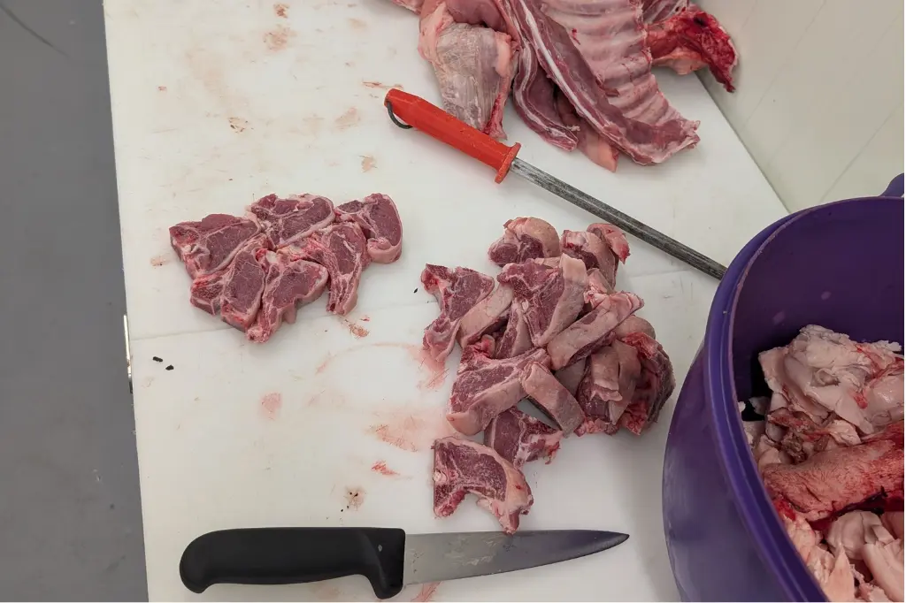 découpe redimensionné.webp