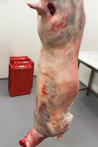 Demi agneau emballé sous-vide (±12 kg – 15,5 €/kg)